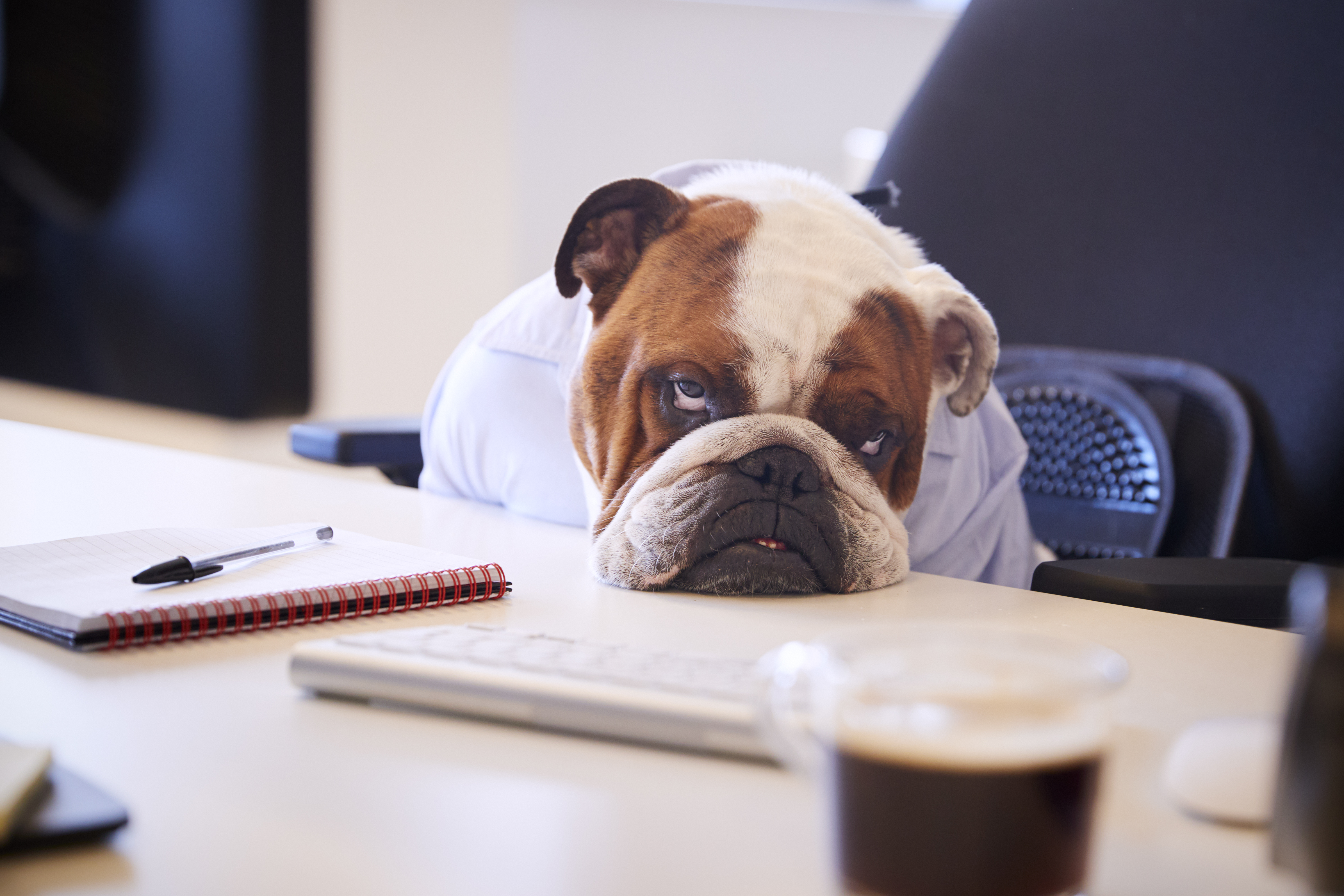 fed up with your letting & management agent